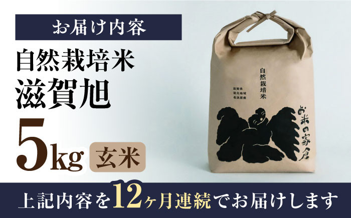 【全12回定期便】自然栽培米 滋賀旭 5kg 玄米 ×12回　米 定期便 玄米  5kg