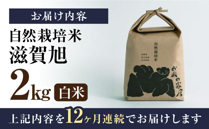 【全12回定期便】自然栽培米 滋賀旭 2kg 白米 ×12回　米 定期便 白米  2kg