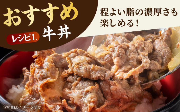 佐賀牛 切り落とし 500g  黒毛和牛 肉 牛肉 定期便 ロース バラ 赤身 普段使い 佐賀 定期 6ヶ月 6回