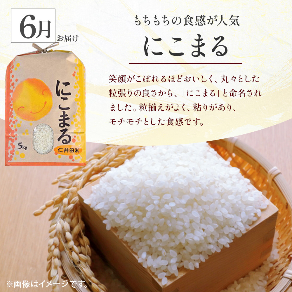 粒ぞろいが良く、粘りがあり、モチモチした食感です