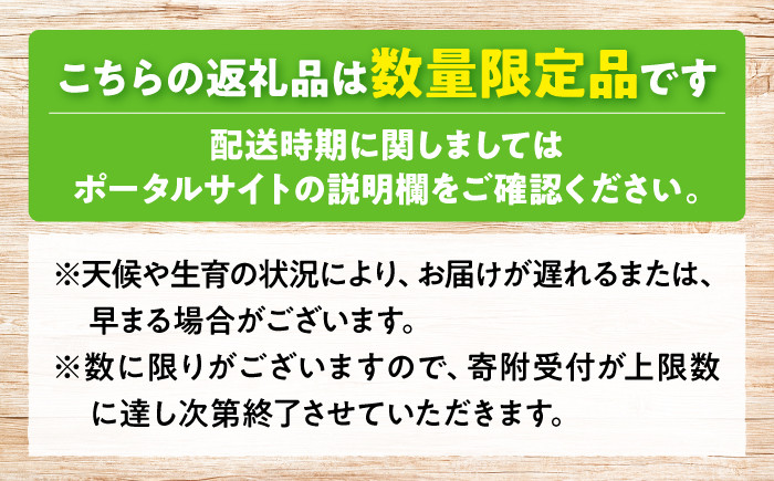 メロン 赤肉 めろん 贈答 フルーツ メロン 果物 高級 旬 くだもの ギフト 