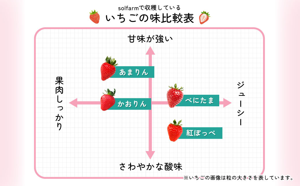 いちご【先行予約】あまりん 2パック 約500g