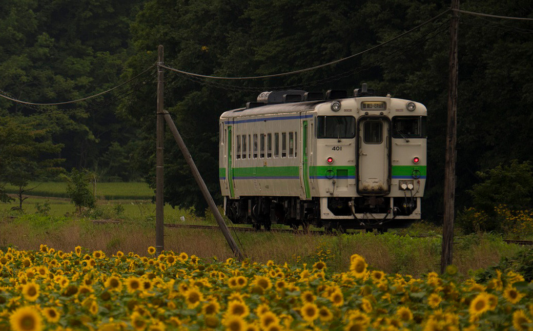 【札沼線浦臼町内５駅】駅名標PINS＆木製駅名標根付セット【晩生内・札的・浦臼・鶴沼・於札内】