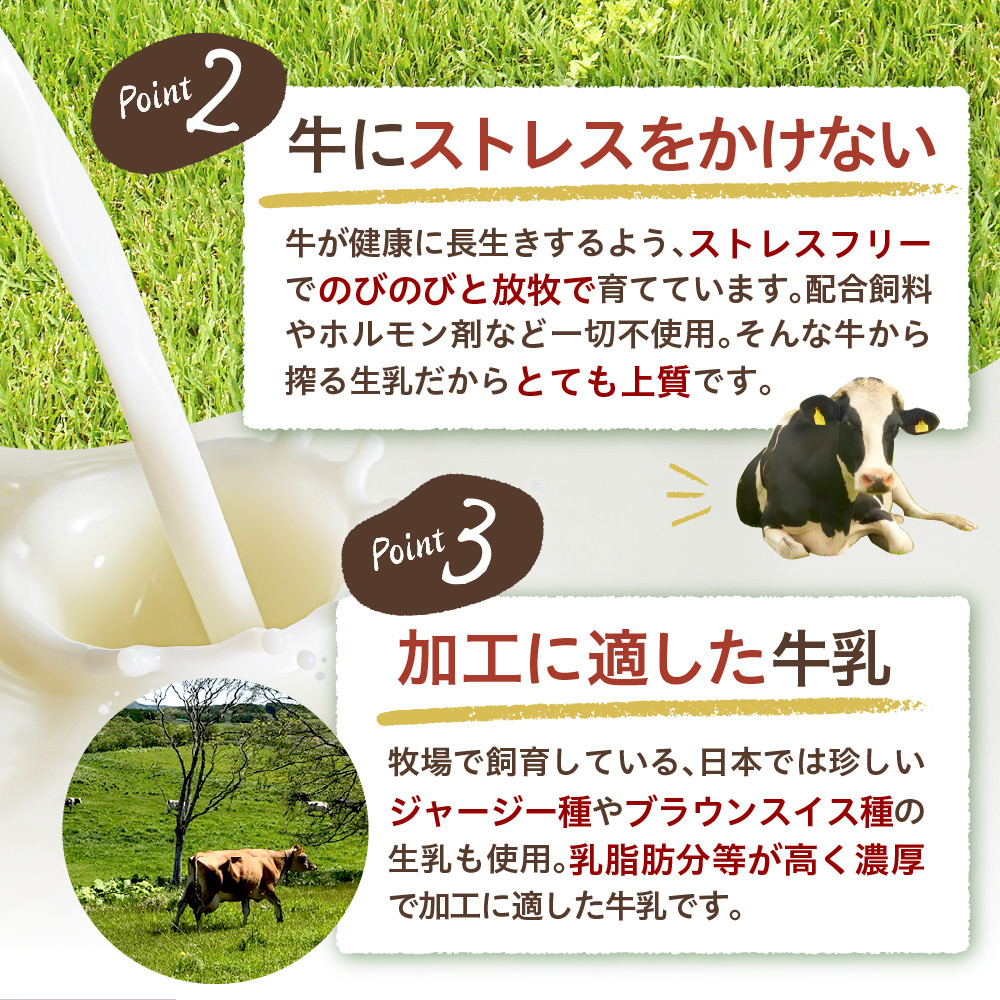 チーズとアイスのお店「工房レティエ」ピザ等のカフェメニューも楽しめます