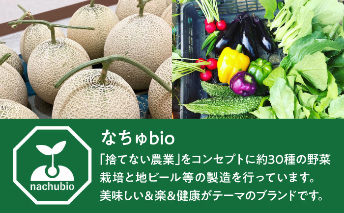 メロン 赤肉 めろん 贈答 フルーツ メロン 果物 高級 旬 くだもの ギフト 