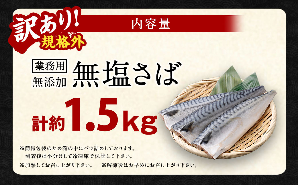 【訳あり規格外】  業務用 無添加 無塩さば 1.5kg