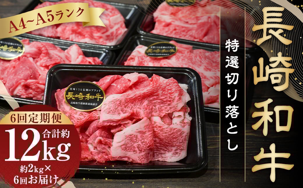 【全6回定期便】【A4～A5ランク】長崎和牛特選切り落とし 約2kg (200g×10パック)