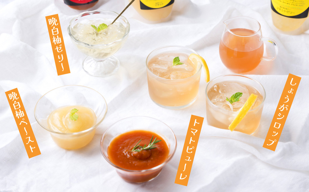 熊本県 八代市産 晩白柚ペースト・晩白柚ゼリー・トマトピューレ・しょうがシロップ 「八代満喫セット」4種入り