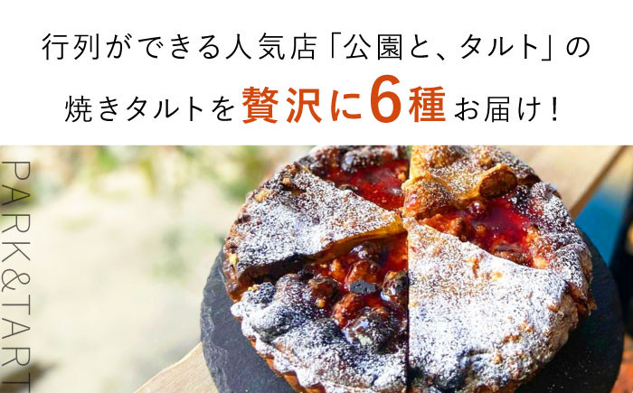 タルト タルトケーキ 焼きタルト タルト生地 フルーツタルト フルーツ お菓子 スイーツ デザート 焼き菓子 焼菓子 ギフト