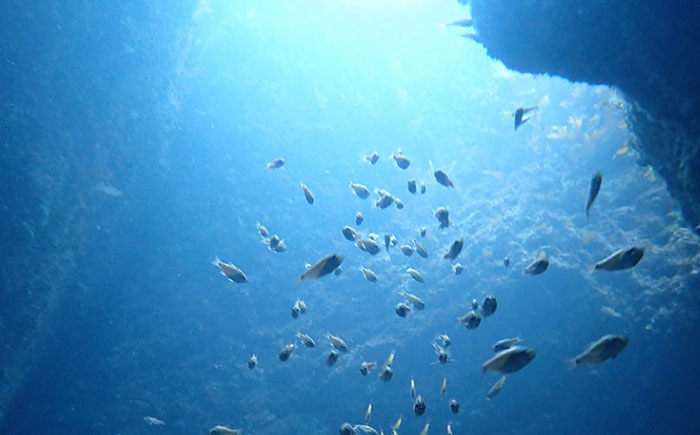 体験 ダイビング 海 アウトドア 島根 松江 おすすめ 人気 ランキング