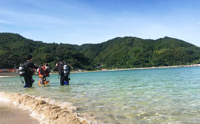 体験 ダイビング 海 アウトドア 初心者 島根 松江 おすすめ 人気 ランキング