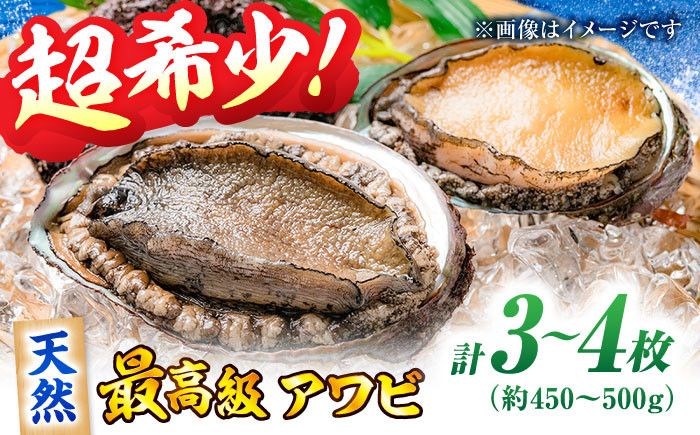 活きたままの高級アワビ！瀬戸内海産天然活きアワビ3枚セット