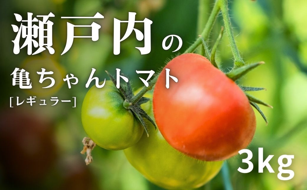 おしりから伸びるスター状の筋が美味しさの証です