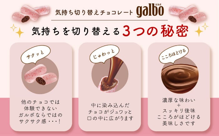 おやつ お菓子 チョコレート チョコ クッキー カカオ ガルボ galbo ガルボチョコ ガルボチョコパウチ パウチ 明治