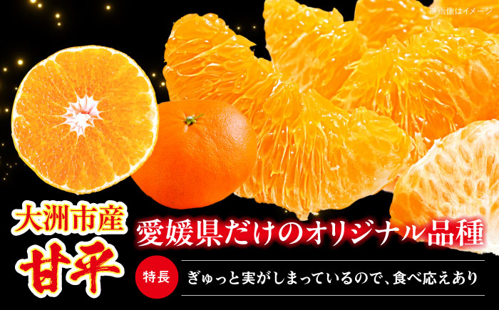 甘平 2.5kg L・2Lサイズ 大洲市西山青果 かんぺい カンペイ 柑橘 みかん 果物