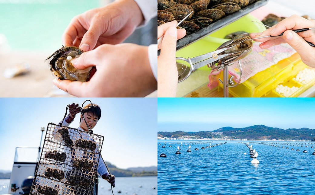 《アコヤ真珠》K18-PG/7.0mmスルーパールペンダント【★★★★☆】