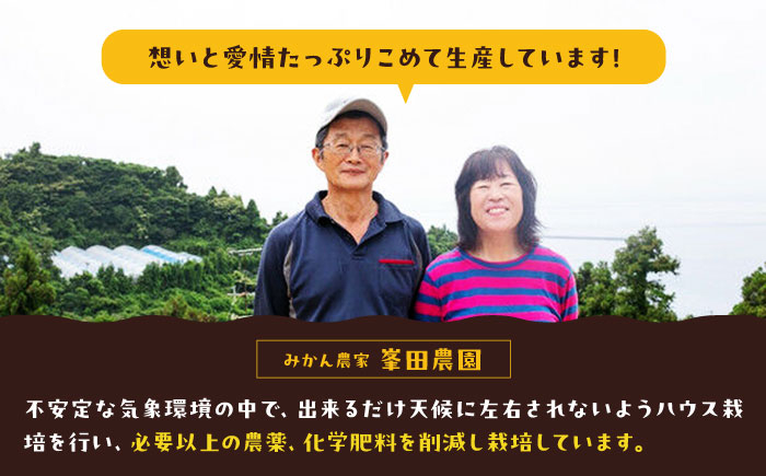 「まどんな」100%ストレートジュース（720ml×12本）　大洲市/峯田農園 マドンナ みかんジュース 柑橘 果物 ギフト