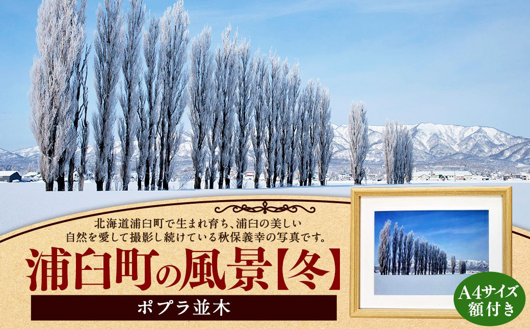 浦臼町の風景（A４サイズ）額付き【D】冬「ポプラ並木」
