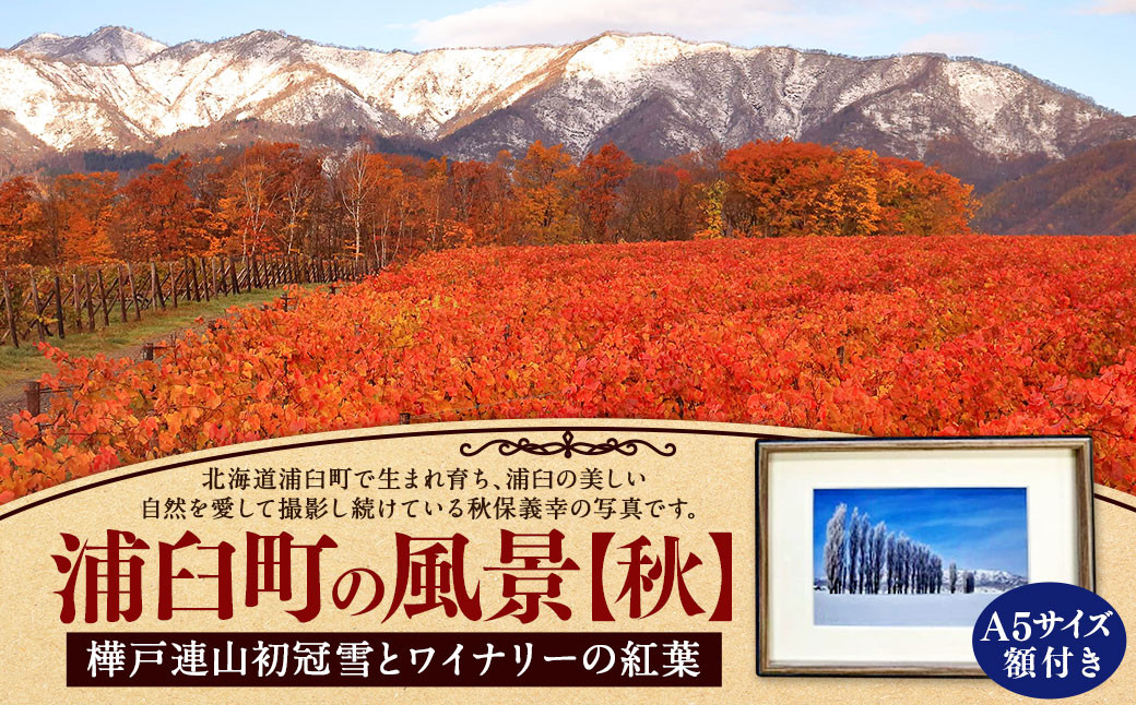 浦臼町の風景（A５サイズ）額付き【C】秋「樺戸連山初冠雪とワイナリーの紅葉」