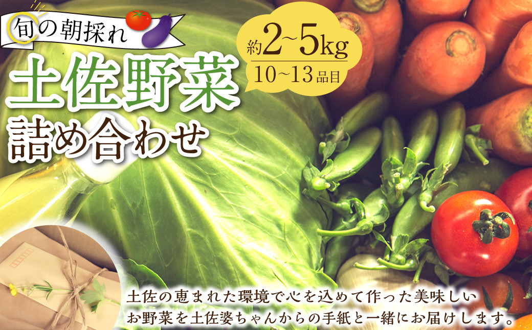 旬の朝採れ土佐野菜詰め合わせ(10~13品目)