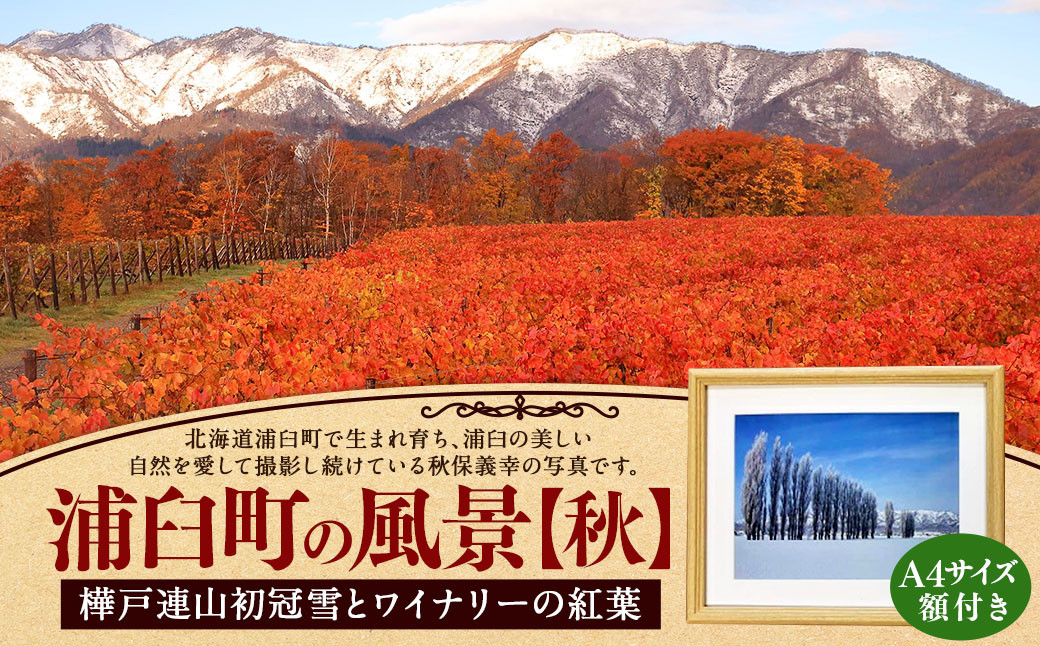 浦臼町の風景（A４サイズ）額付き【C】秋「樺戸連山初冠雪とワイナリーの紅葉」
