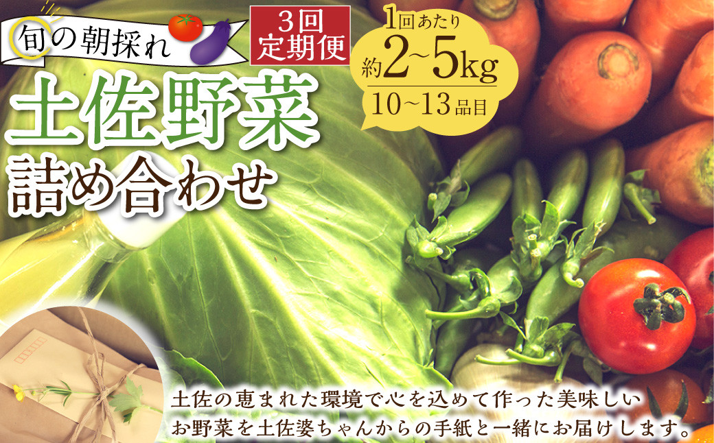 【定期便3回】旬の朝採れ土佐野菜詰め合わせ(10~13品目)