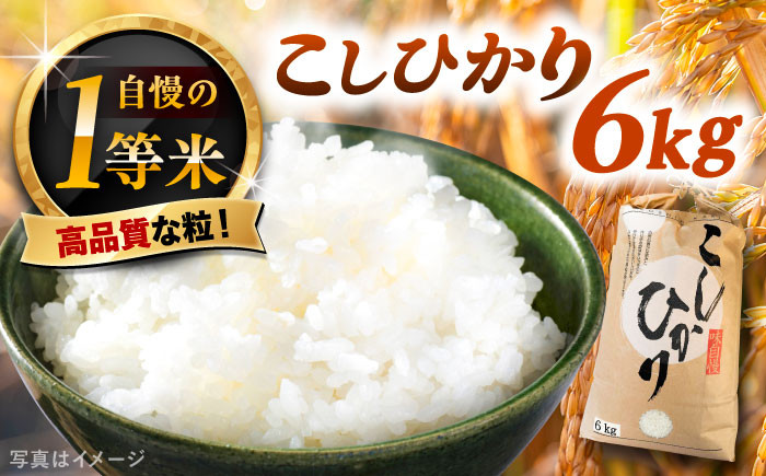 こしひかり（精米）6kg