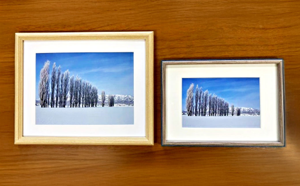 浦臼町の風景（A４サイズ）額付き【D】冬「ポプラ並木」