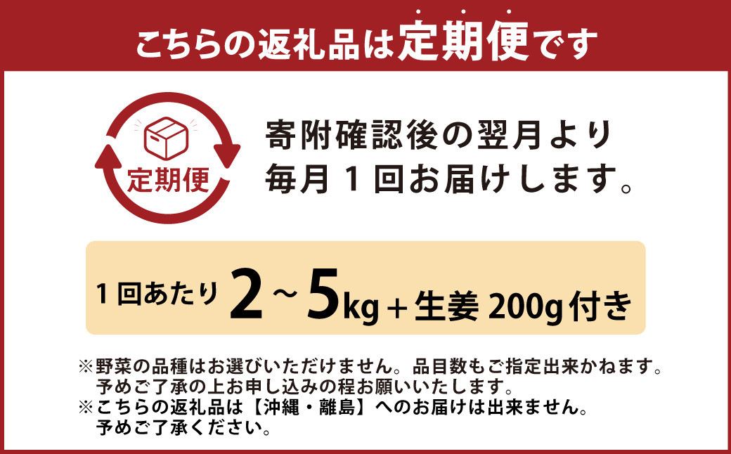 【定期便12回】旬の野菜の詰め合わせと栽培期間中農薬不使用の生姜200g付き