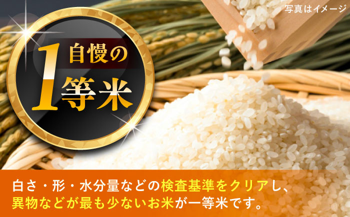 こしひかり（精米）6kg