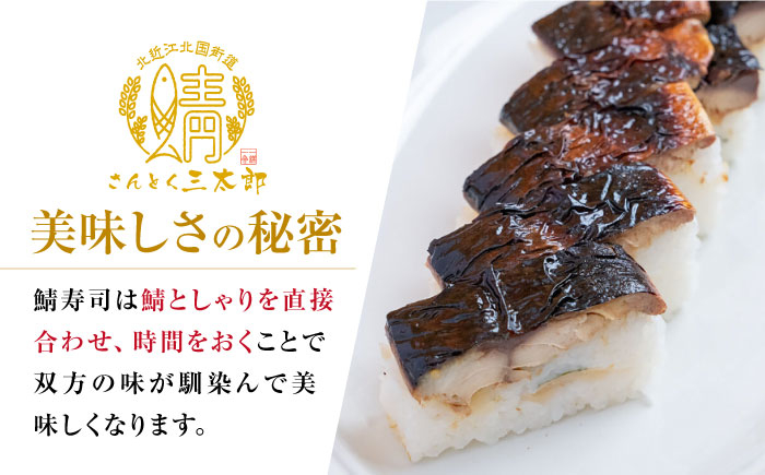 三太郎の鯖寿司8切、焼き鯖寿司８切セット【冷凍】さば 鯖 サバ 鯖ずし 焼き鯖 焼鯖 押し寿司 さば寿司