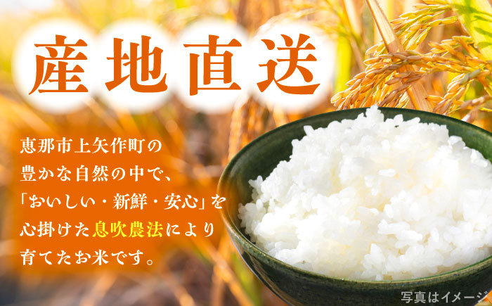 こしひかり（精米）6kg