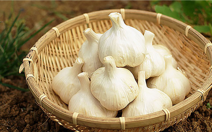 滋賀県産 冷凍 皮むき にんにく 500g にんにく ニンニク 冷凍 冷凍にんにく 皮むき 便利 むきにんにく