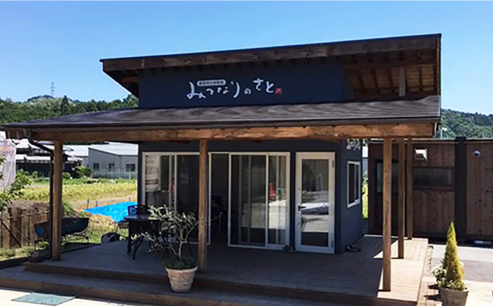 滋賀県産 冷凍 皮むき にんにく 500g にんにく ニンニク 冷凍 冷凍にんにく 皮むき 便利 むきにんにく