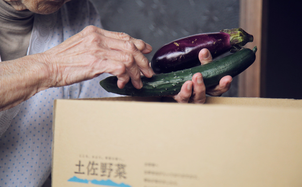 【定期便6回】旬の野菜の詰め合わせと栽培期間中農薬不使用の生姜200g付き