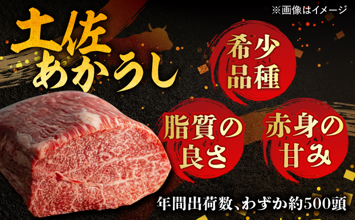 レトルト カレー あか牛 土佐あかうし 牛肉 牛カレー 保存食 常備 人気 おすすめ