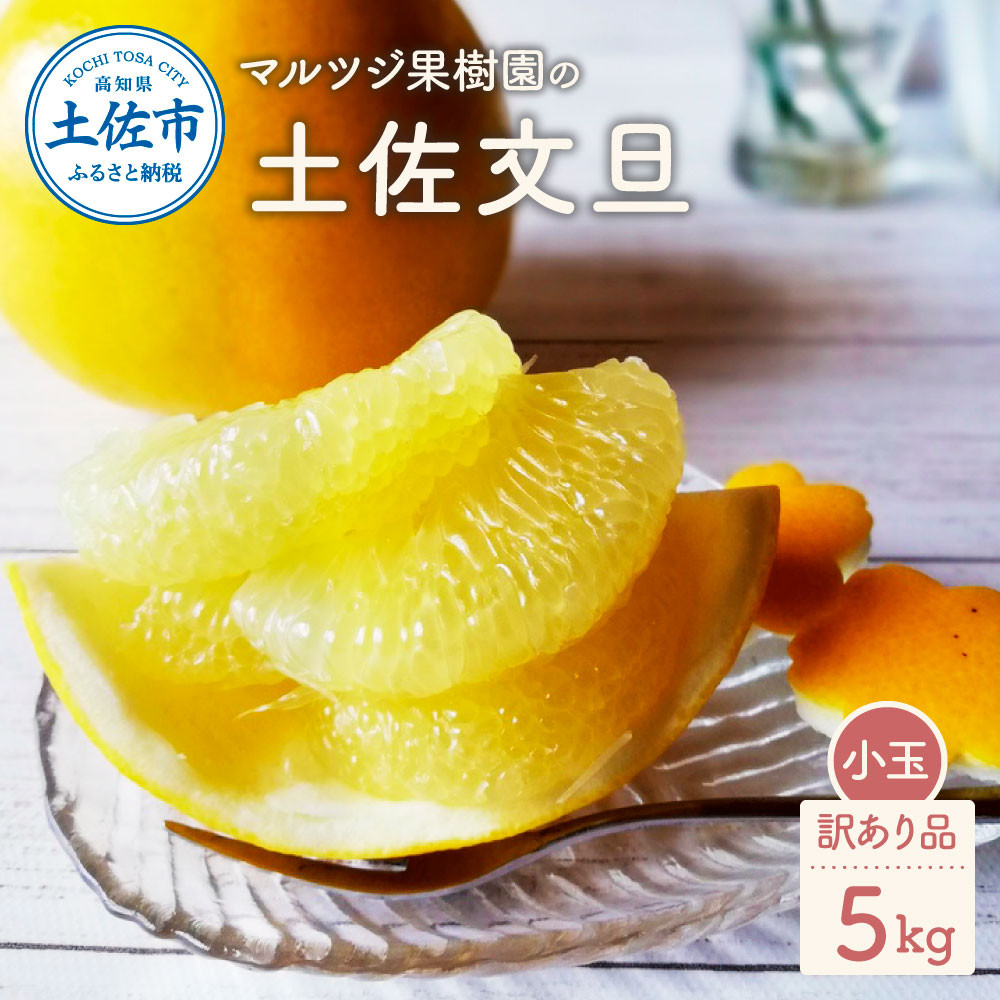 土佐文旦訳あり品（約5㎏） 