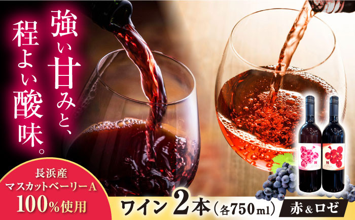 長浜産 マスカットベーリーA 赤白2本セット　ワイン 赤ワイン 白ワイン マスカットベーリー ロゼ 飲み比べ
