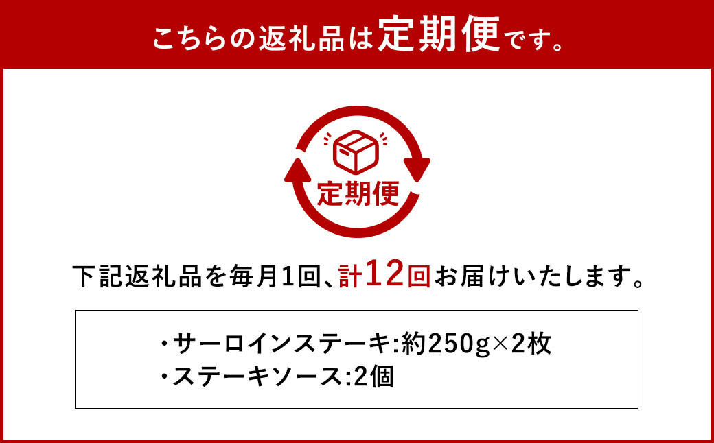 【全12回定期便】長崎和牛サーロインステーキ 250g×2枚 ／合計6kg (24枚) 国産 肉 お肉 和牛 ステーキ 長崎県