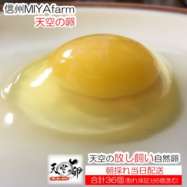 信州小川村　有機飼料を食べて育った、栄養たっぷりの朝採れ卵を当日出荷