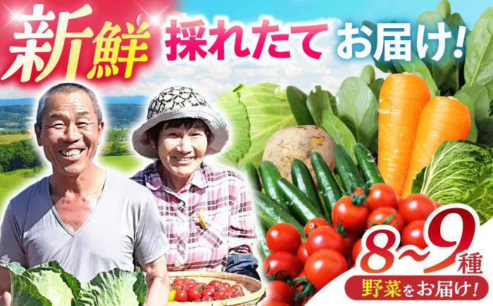 諫早産 野菜 詰め合わせ 8〜9品目程度  季節 旬 やさい 春野菜 夏野菜
