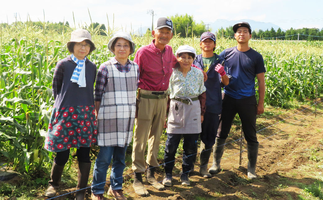 竹田市菅生のスイートコーン!その場でガブリ!収穫体験~お1人様5本持ち帰れる!~(1チケット15名様チケット)
