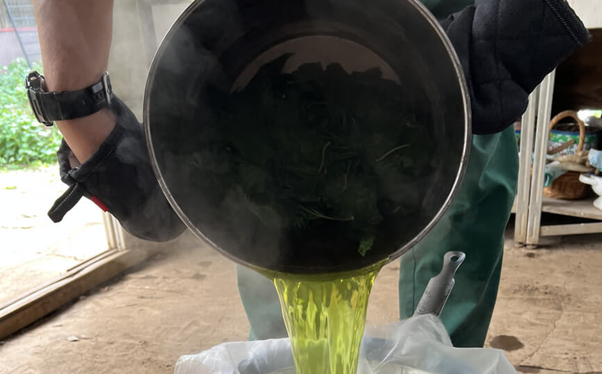 林や庭から採取した染料を煮出して濾して染料益を作ります