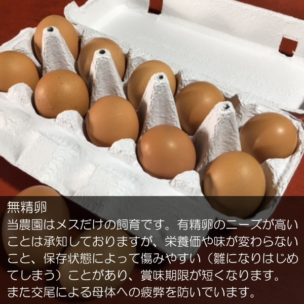 信州小川村　有機飼料を食べて育った、栄養たっぷりの朝採れ卵を当日出荷