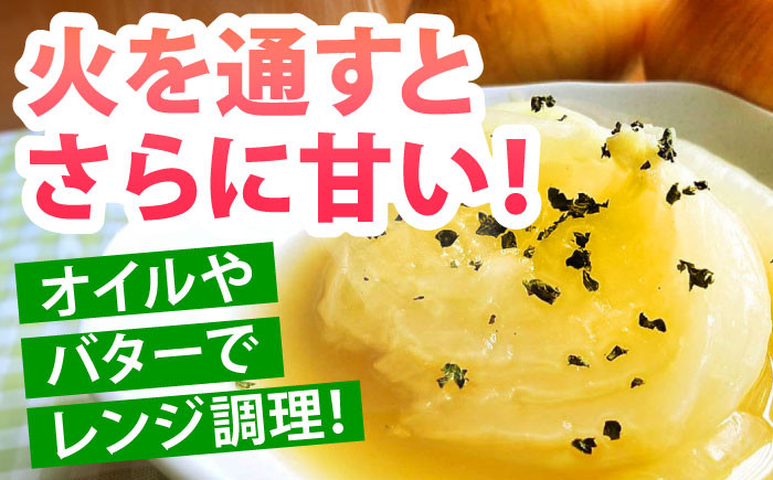 佐賀県江北町産 新玉ねぎ 10kg【こうふく農園】玉ねぎ たまねぎ 野菜 佐賀県産玉ねぎ 早生 産地直送 たまねぎ 
