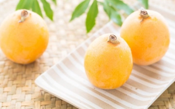 びわ ビワ 枇杷 ビワゼリー びわゼリー 枇杷ゼリー ゼリー