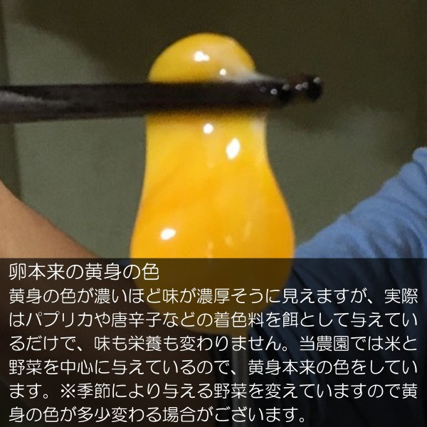 信州小川村　有機飼料を食べて育った、栄養たっぷりの朝採れ卵を当日出荷