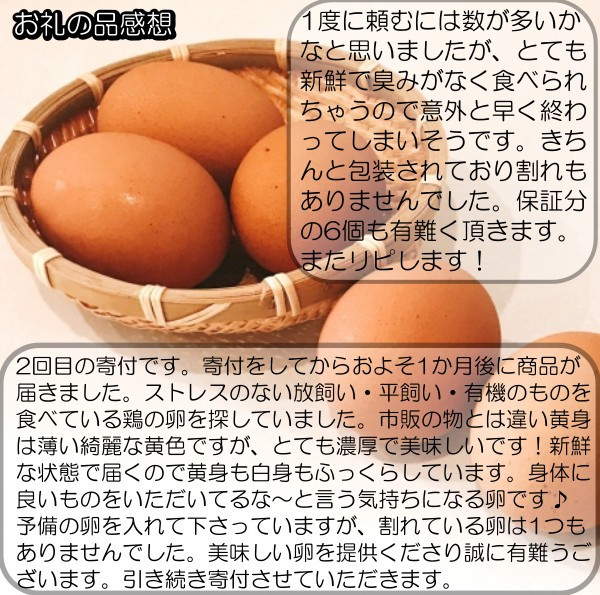 信州小川村　有機飼料を食べて育った、栄養たっぷりの朝採れ卵を当日出荷