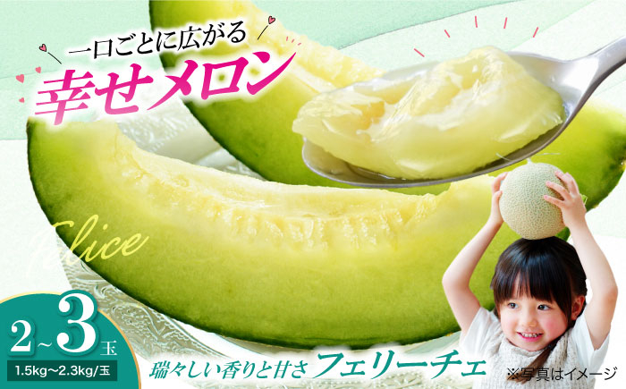 【先行予約】【6月上旬から順次発送】 メロン フェリーチェ 2から3玉 めろん 果物 フルーツ くだもの 青肉 高級 お取り寄せ