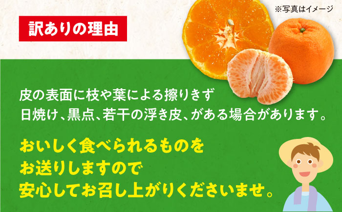 【ちょっと訳あり】ポンカン 約9kg 大洲市/カーム/カームシトラス みかん ぽんかん 柑橘 果物 フルーツ